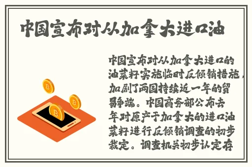 成 人 网 站 在线